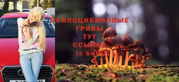 метадон Алексин